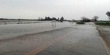 El corte en la ruta 9 ocurre cerca de la ciudad de Cañada de Gómez\u002E (@diarioarmstrog)