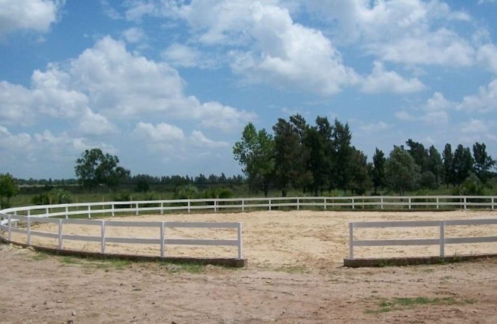 Avanzan las obras para la práctica y promoción de la equinoterapia adaptada