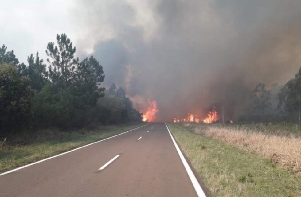 Incendios forestales siguen castigando a Corrientes