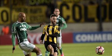 Brazil's Palmeiras Felipe Melo (L) vies for the ball with Uruguay's Penarol Nahitan Nandez during their Libertadores Cup football match at the Campeones del Siglo Stadium in Montevideo on April 26, 2017\u002E / AFP PHOTO / MIGUEL ROJO montevideo uruguay felipe melo futbol copa libertadores 2017 futbol futbolistas peñarol palmeiras