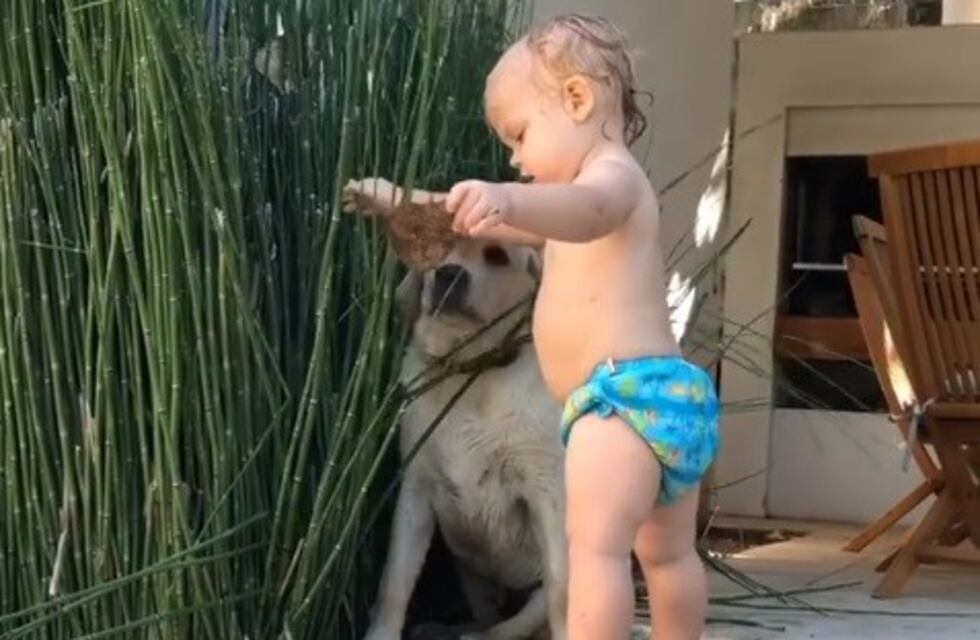 El tierno video de Mirko jugando  entre las plantas con su perro Bailey