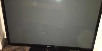El televisor sustraído en el domicilio de la pareja\u002E (SL24)
