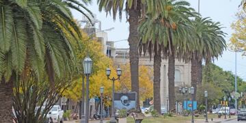 Microcentro de Rafaela (Mario Liotta / Todo un palo Producciones)