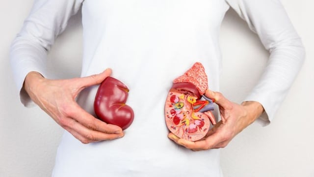 Día Mundial del Riñón