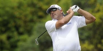 Pato cabrera