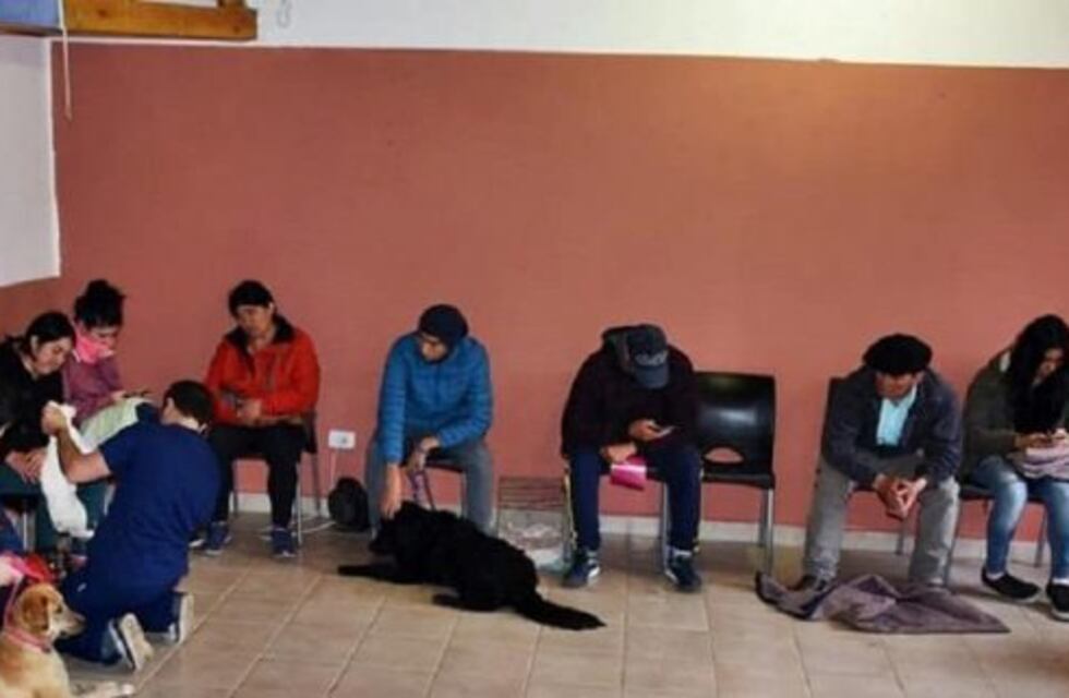 A partir de hoy se podrán solicitar turnos para la castración de mascotas