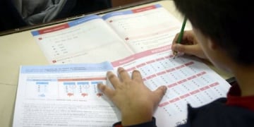 Los operativos se realizarán sobre la comunidad docentes y los alumnos\u002E