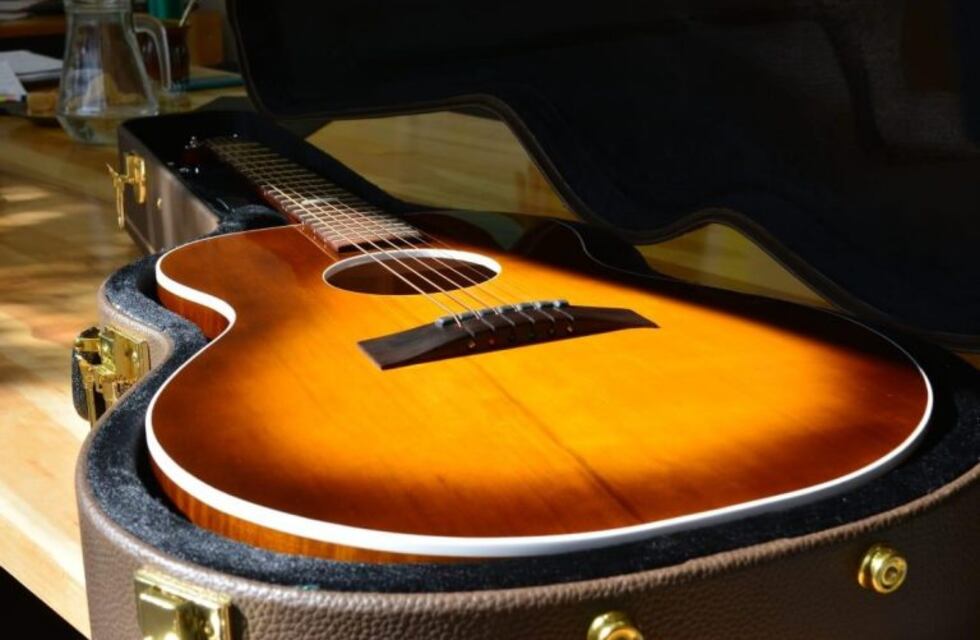 La madera de lenga podría ser usada para construir instrumentos de alta calidad