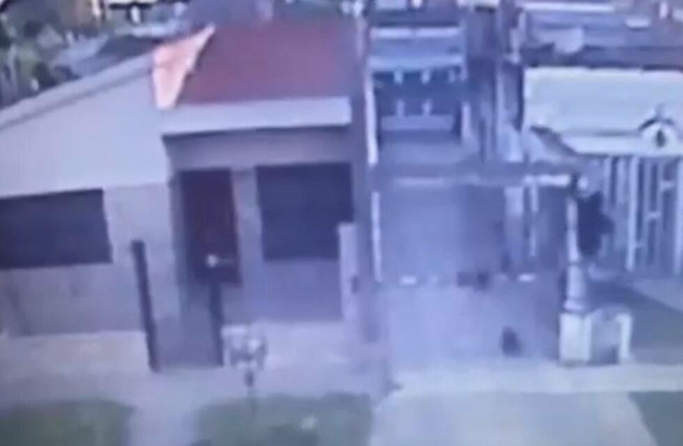 Robo frustrado: lo sorprendieron los perros cuando intentaba saltar una reja