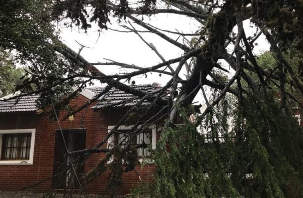 Un hombre y su hijo murieron electrocutados tras el temporal