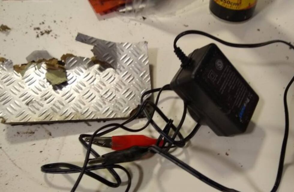 La familia de los artistas detenidos reveló que contenía la maleta "sospechosa"