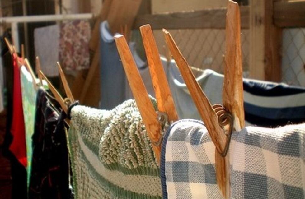 Descubrió a un delincuente intentando robar la ropa colgada del patio de su casa