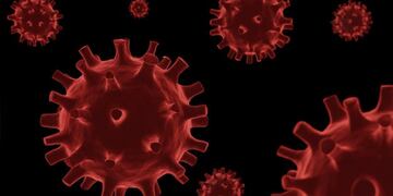 Son 162 los casos de Coronavirus en Gualeguaychú\nCrédito: Web