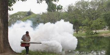 Imagen archivo\u002E Fumigaciones en Saladas, Corrientes
