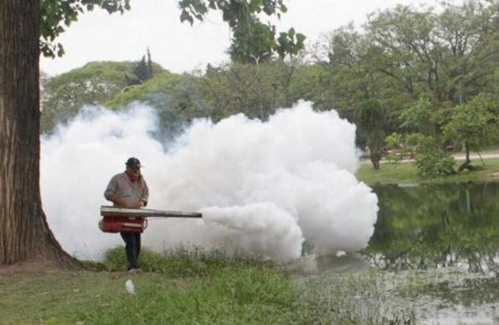 Iniciarán la campaña de fumigación en la vía pública