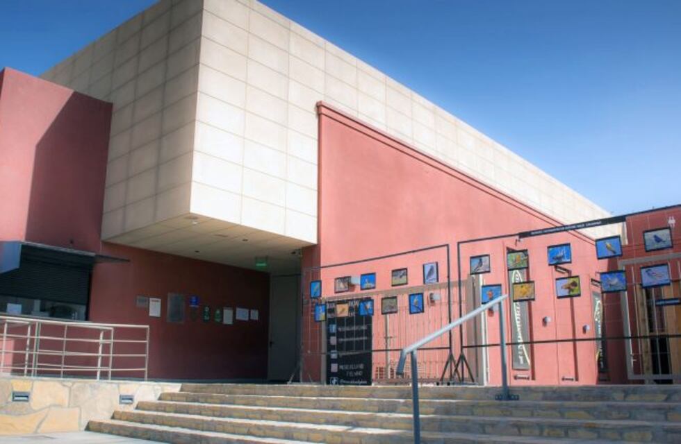 El Museo de la Vid y el Vino celebra su décimo aniversario