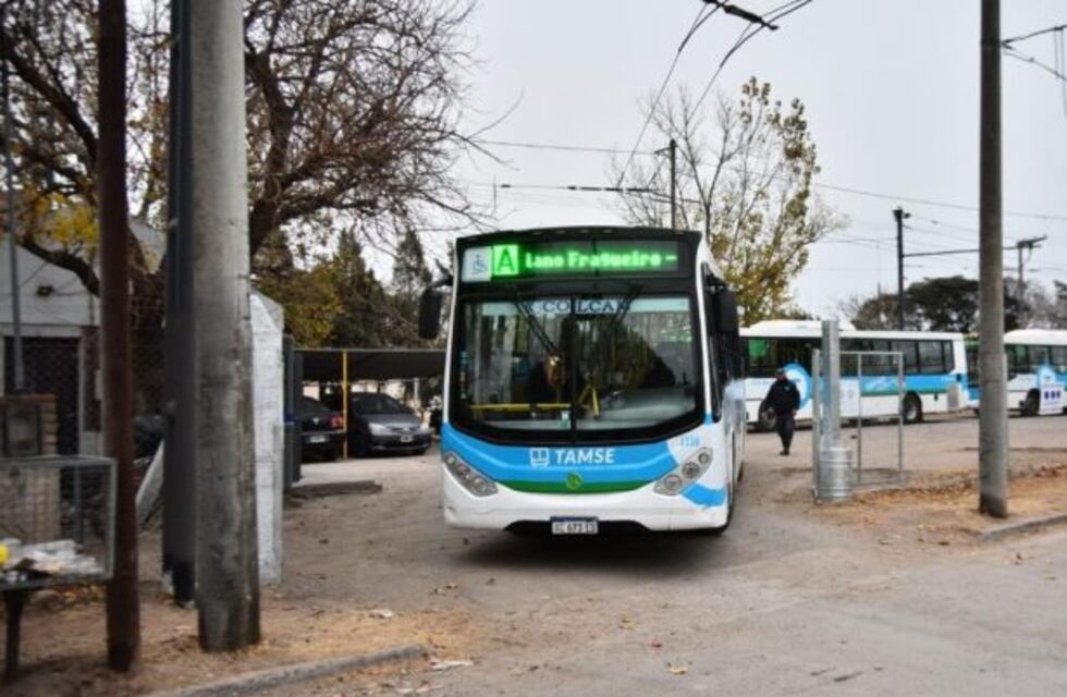 Video: Conductoras de Tamse fueron insultadas por choferes de las otras empresas