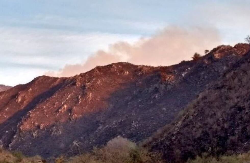Incendios bajo control: bomberos realizan guardia de cenizas