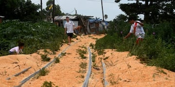 Los vecinos del barrio Santa Rosa de Lima salieron a recoger parte de los granos sobre los durmientes\u002E (José Almeida)