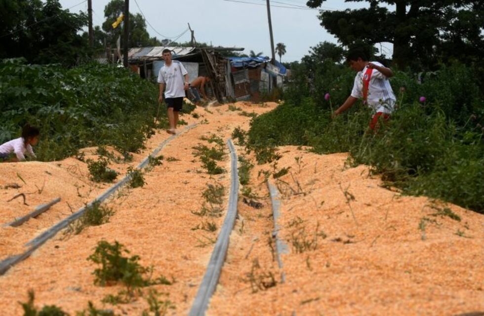 Banda santafesina apeló a un sofisticado plan para robar 250 toneladas de maíz de un tren