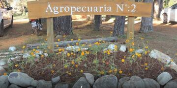 El mini invernáculo remoto de San Pedro fue declarado de interés provincial