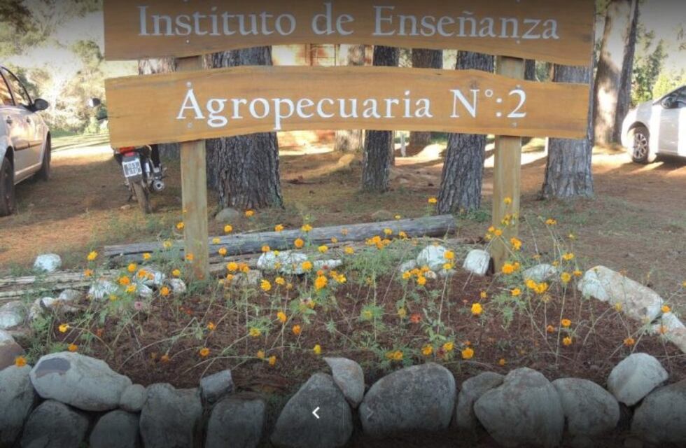 Una joven sanpedrina creó un mini invernáculo remoto