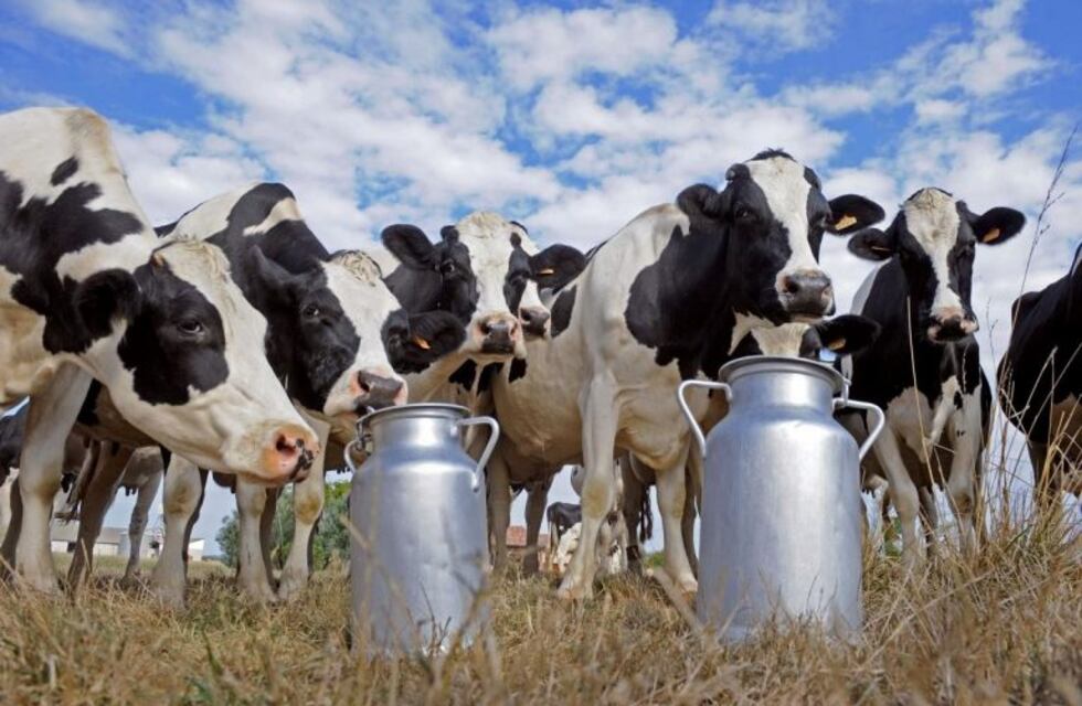 Potenciarán el desarrollo de la ganadería bovina en el este de Río Negro