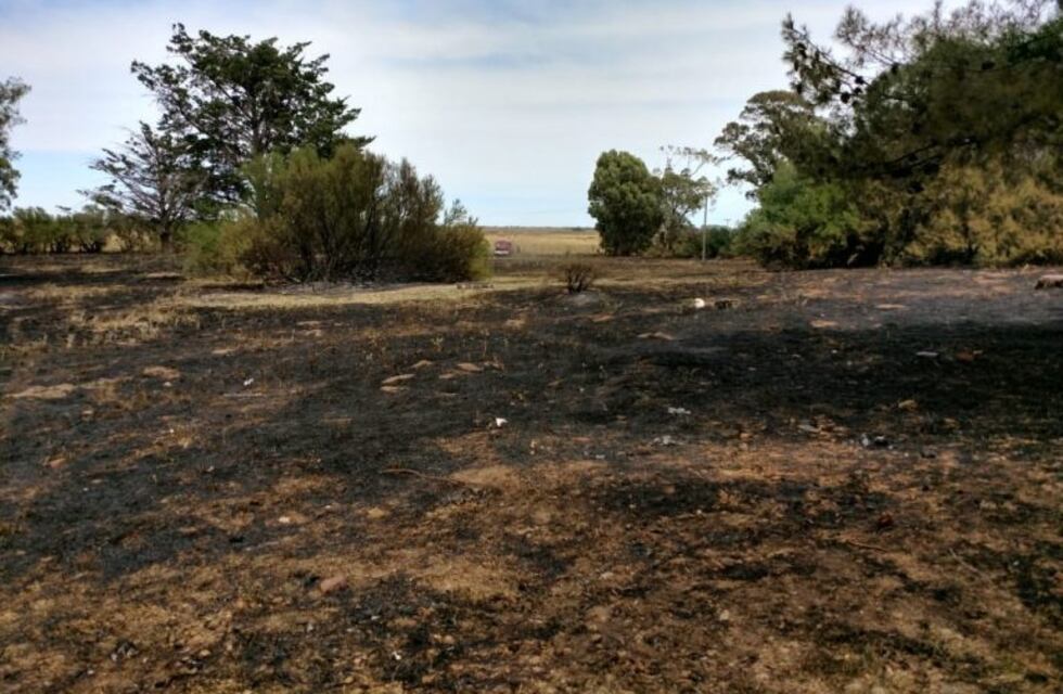 Incendio en la pileta de Rosario: "Fue desesperante"