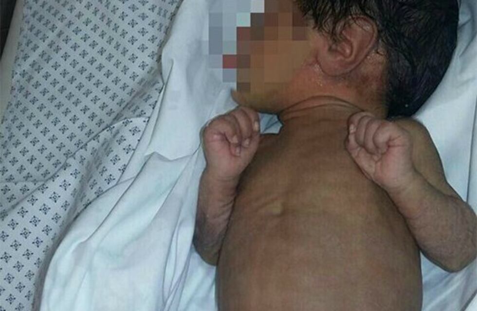 Un perro encontró un bebé de un mes abandonado en una esquina de Vicente López