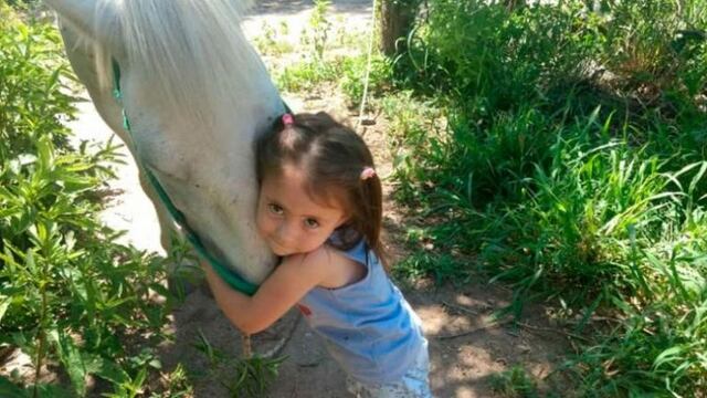 Caballo robado\u002E