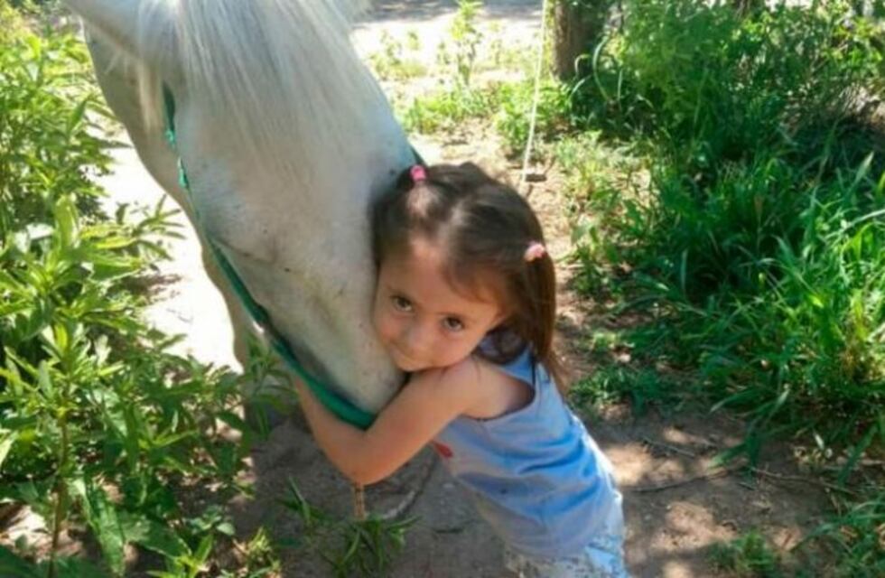 De no creer: otra vez robaron el caballo de una nena con Síndrome de Down