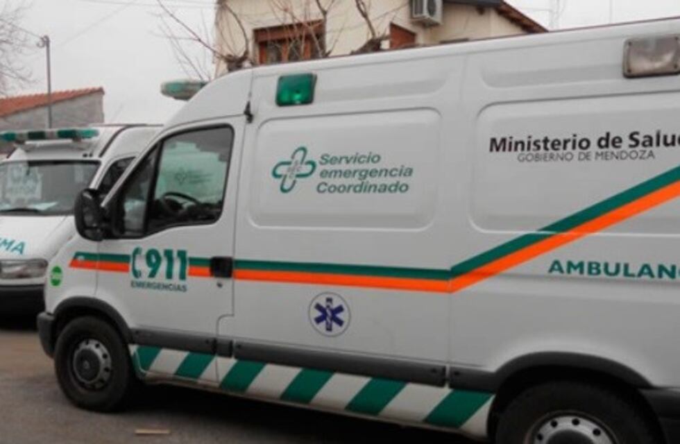 Murió en su casa y se lo comieron los perros