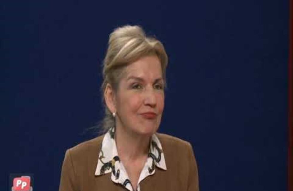 Guía para la mediación a distancia