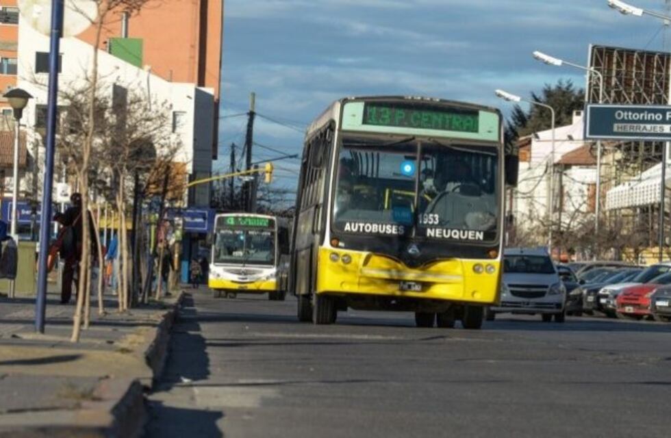Dos mujeres quisieron subir a un colectivo con carnets de discapacidad truchos, el chofer las descubrió y lo agredieron