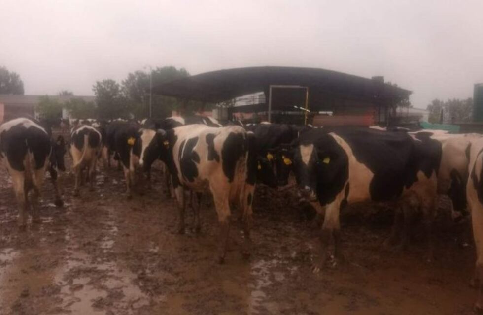 Respaldo de los productores del agro tras la creación del Fondo de Inversión y Desarrollo que se votó en la Legislatura