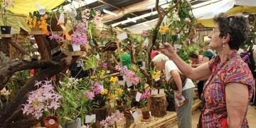 Fiesta Nacional de la Orquídea en Montecarlo\u002E