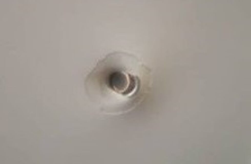 Una bala perdida rozó a un pasajero en la terminal de ómnibus de Bahía Blanca