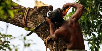 Natural World - Winner, Best Single Image\nFlorent Mamelle, France