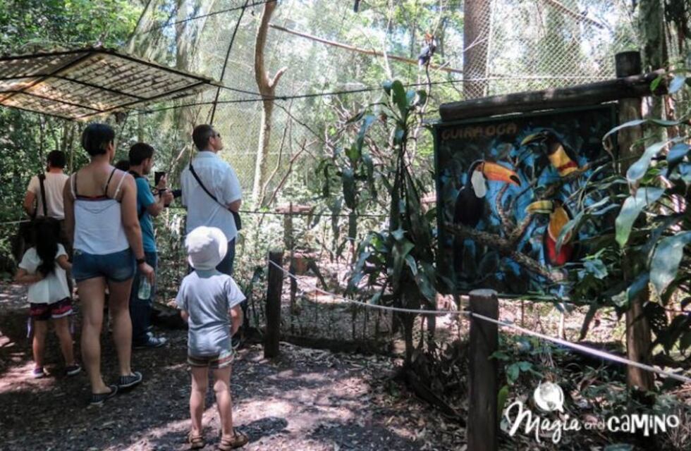 El refugio Güirá Oga fue distinguido a nivel nacional por su labor al servicio de la fauna