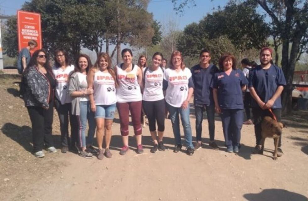 Comenzó el taller gratuito de "Educación Canina" en Carlos Paz