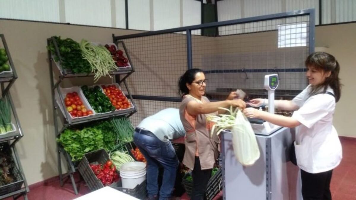 Mercado concentrador obereño\u002E