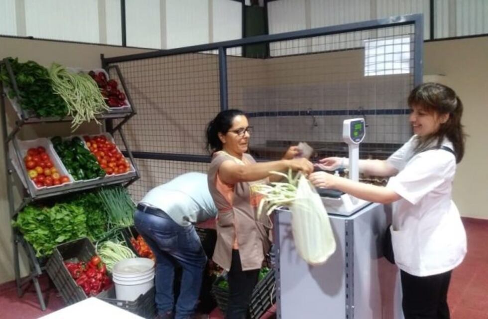 Ya se encuentra en funcionamiento el Mercado Concentrador obereño