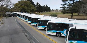 Presentación de nuevos colectivos de la Tamse. (Municipalidad de Córdoba)