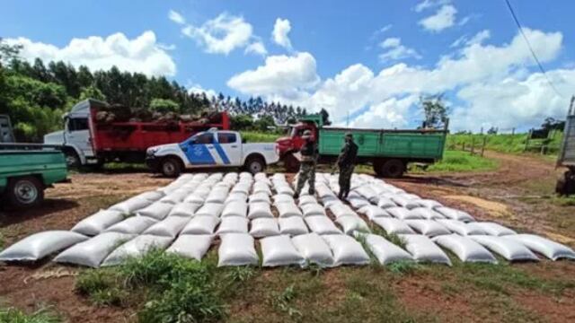 Efectivos de Prefectura Naval secuestraron más de 17 toneladas de cereal ilegal en El Soberbio.