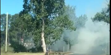 El incendio forestal ocurrió en la tarde de este viernes.