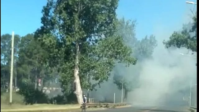El incendio forestal ocurrió en la tarde de este viernes.