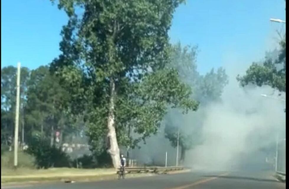 Incendio forestal en Concordia: Bomberos debieron sofocar el fuego