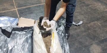 La PFA desmantela red de "narco-encomiendas" en Colonia Wanda.