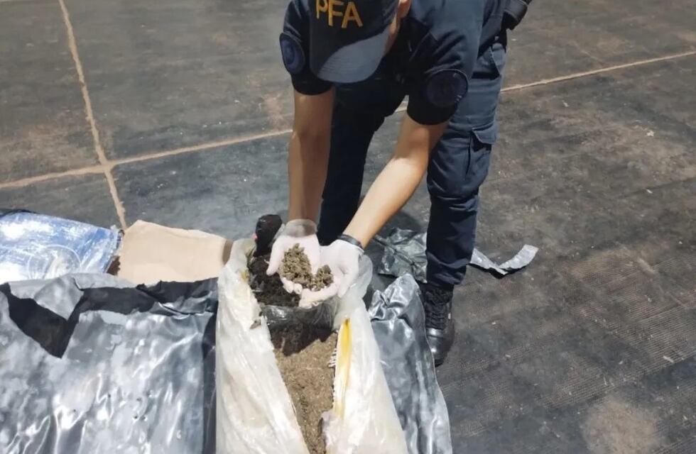 La PFA desmantela red de “narco-encomiendas” en Colonia Wanda