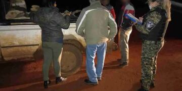 Recuperan madera nativa en San Vicente.